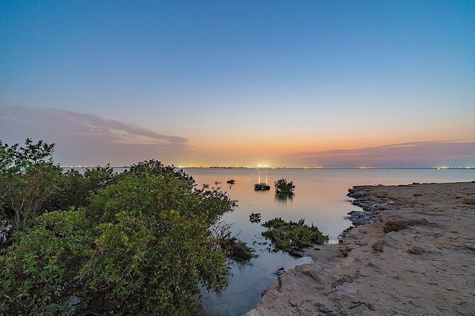 North of Qatar Tour, Zubara Fort, Mangroves, Jumail Village - Al Jumail Village: Qatar’s past in empty rooms