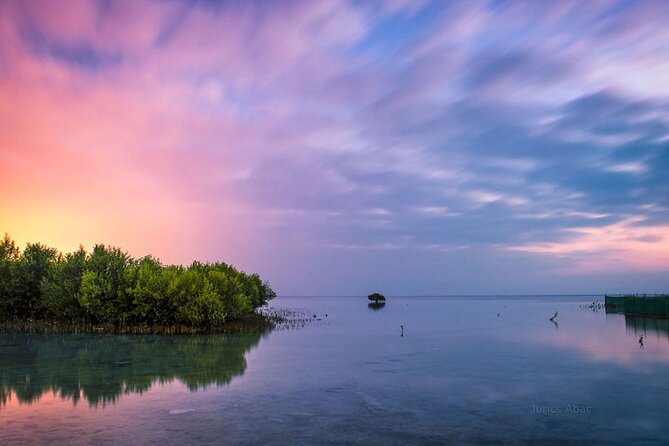 North of Qatar Tour, Zubara Fort, Mangroves, Jumail Village - What the guide adds to the day