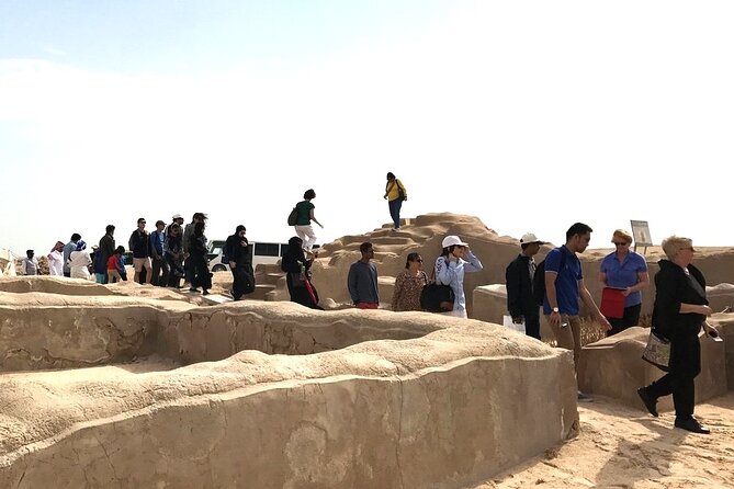 North Qatar Half-Day Tour: Al Zubarah, Purple Island & Mangroves - Key points to know before booking