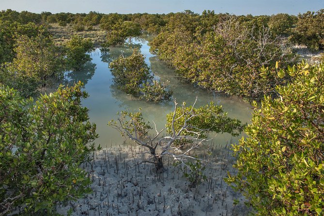 North Qatar Half-Day Tour: Al Zubarah, Purple Island & Mangroves - Al Zubara Fort, the clear highlight