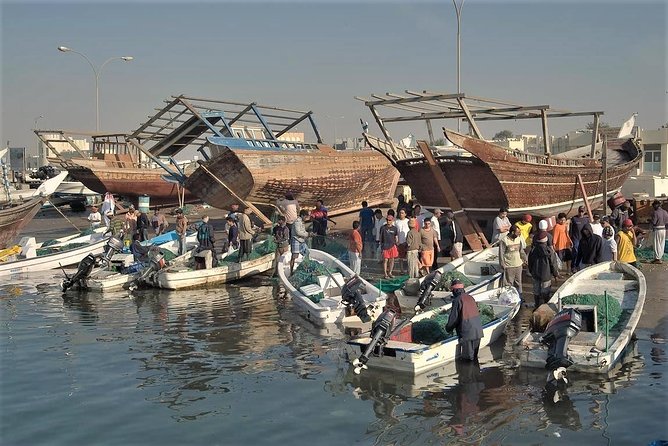 North Qatar Half-Day Tour: Al Zubarah, Purple Island & Mangroves - Comfort, timing, and the amount of driving