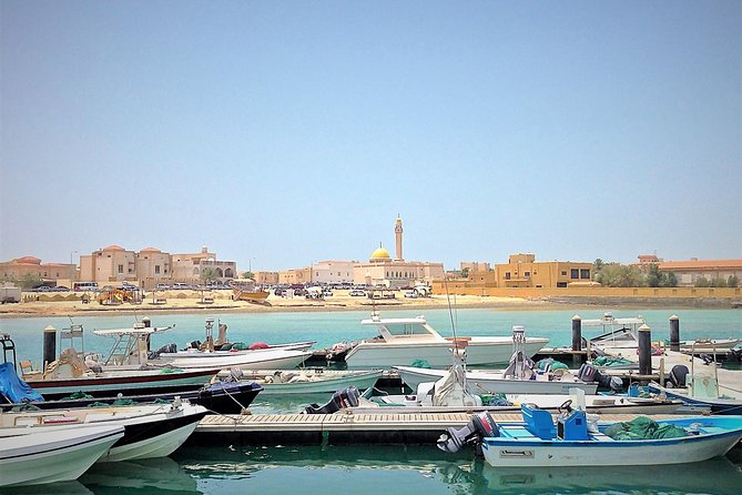 North Qatar Half-Day Tour: Al Zubarah, Purple Island & Mangroves - How the $50 price holds up