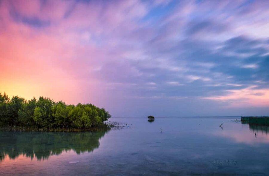 North Qatar: Zubara Fort, Jumail Village, Thakhira Mangroves - Why North Qatar is worth your half-day