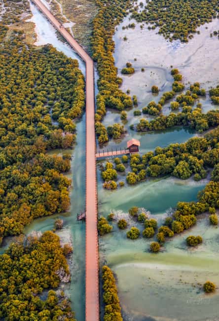 North Qatar: Zubara Fort, Jumail Village, Thakhira Mangroves - Is the $57 price worthwhile?