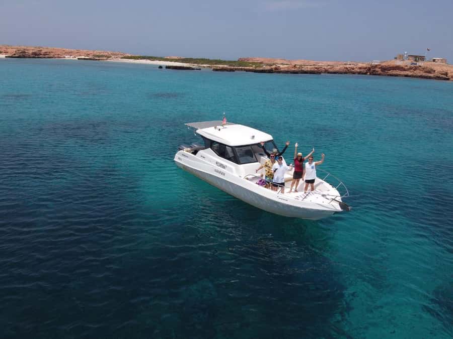Oman: Daymaniyat Islands Visit and Snorkeling - Swimming with turtles off Muscat