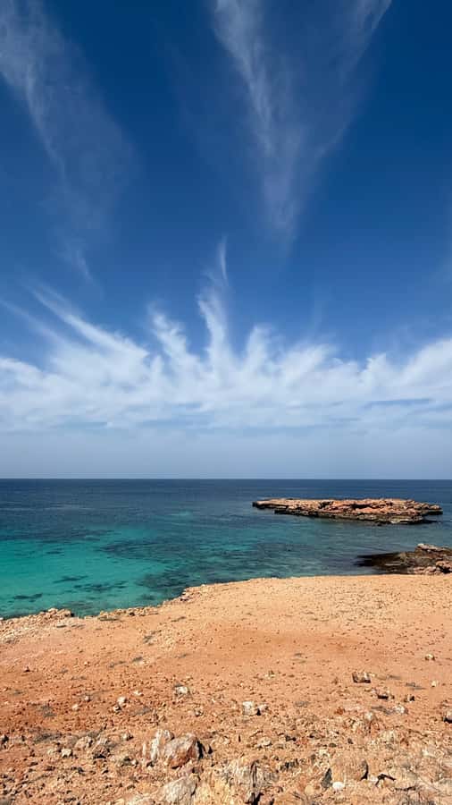 Oman: Daymaniyat Islands Visit and Snorkeling - How much value do you get for $85?