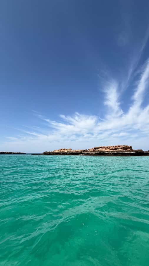 Oman: Daymaniyat Islands Visit and Snorkeling - What the boat adds to the day