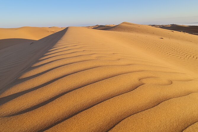 Oman Highlights: Wahiba Sands Desert & Wadi Bani Khalid Tour - What the guides add to the day