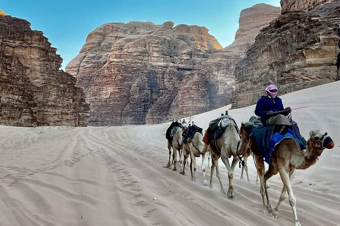 One Day Petra & Wadi Rum from Aqaba - Lunch near Petra and the day’s tightest handoff