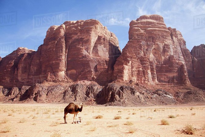 One Day Tour Wadi Rum - A full day among Wadi Rum’s red cliffs
