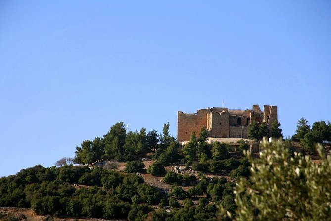 One Day Trip to Jerash & Ajloun Castle - Walking, timing, and what to bring