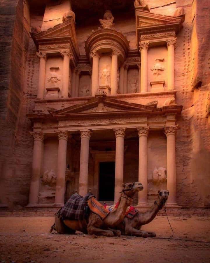 Petra & Dead Sea Private day tour - Should you book this day tour?