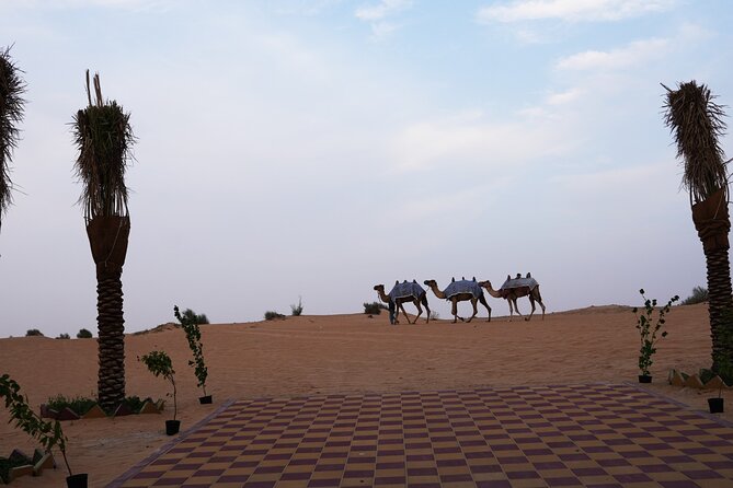 Premium Deluxe Dubai Safari with Camel Ride, Sandboard & BBQ - BBQ dinner and food choices at the desert camp
