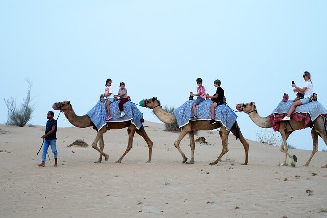 Premium Deluxe Dubai Safari with Camel Ride, Sandboard & BBQ - Tanura, belly dance, fire show, and music