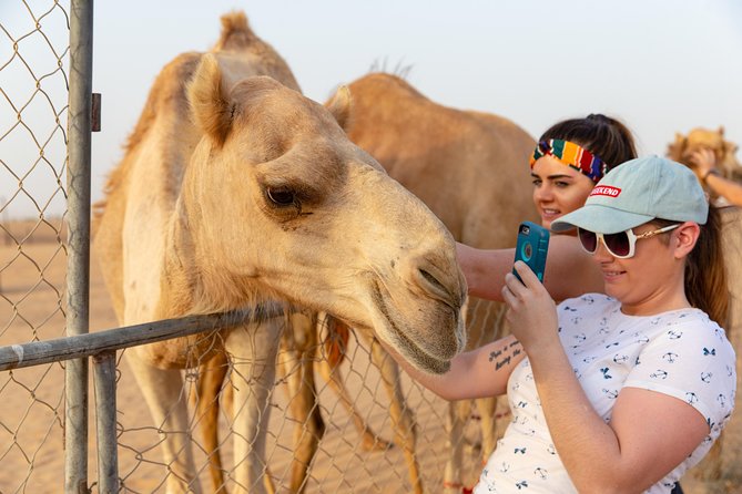 Premium Dubai Desert Safari with BBQ Dinner in the Red Dunes - What the $49 Price Really Buys