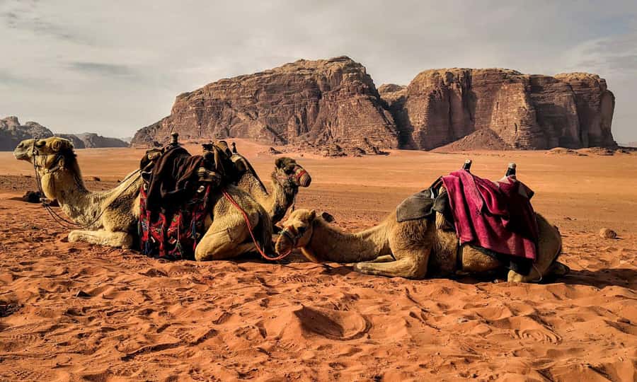 Private 3-Hour Guided Tour of Petra with Hotel Pickup . - The Royal Tombs, Colonnaded Street, and Qasr Al Bint