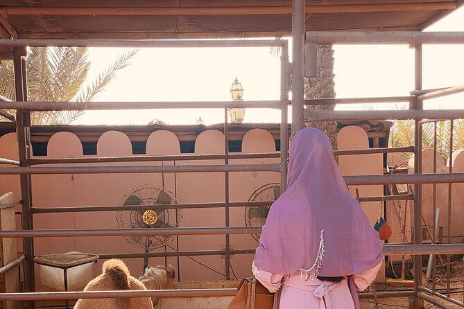 Private - Abu Dhabi Half Day City Tour - Timing, transport, and the value of five hours