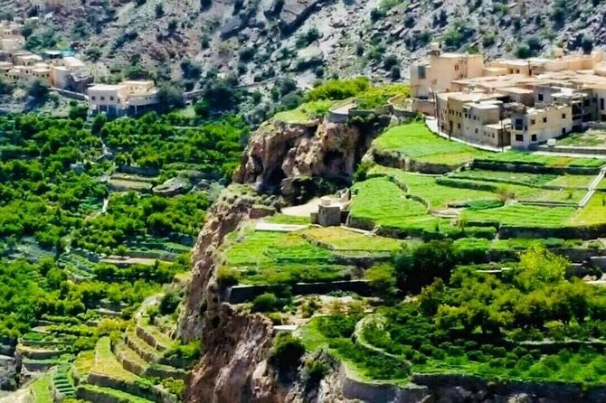 Private Day-Tour in Nizwa and Jebel Akhdar - Nizwa Fort: towers, traps, and wide views