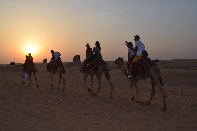 Private Desert Safari Red Dune with BBQ, Sand Boarding and Camel Ride - BBQ dinner and live shows