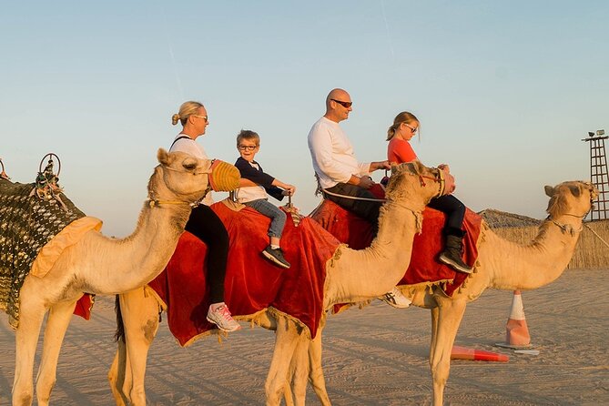 Private Desert Safari Tour Adventure in Dubai - Who Will Enjoy This Safari Most