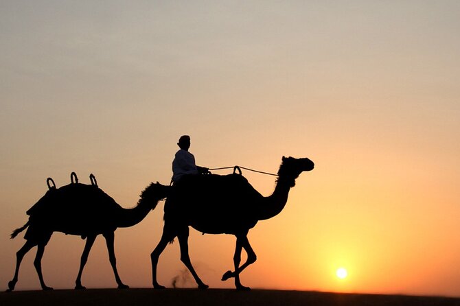 Private Desert Safari Tour in Dubai - Key points to know before booking