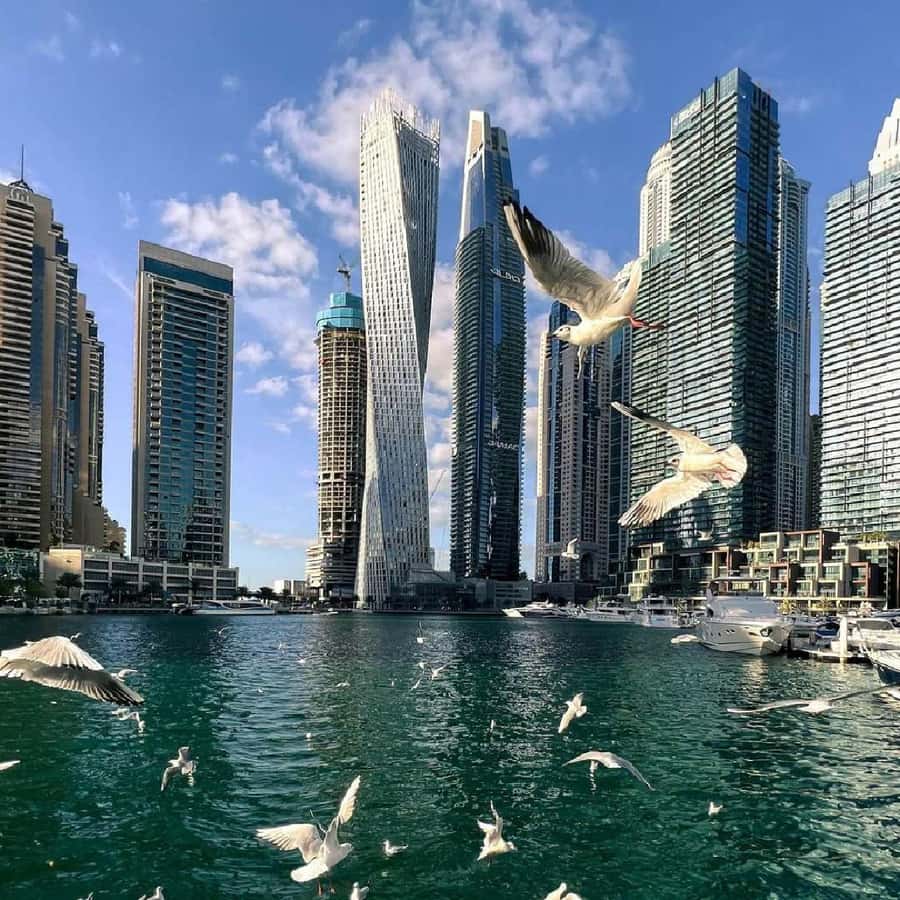 Private Dubai city tour fullday Guided Tour - Downtown Dubai and Burj Khalifa