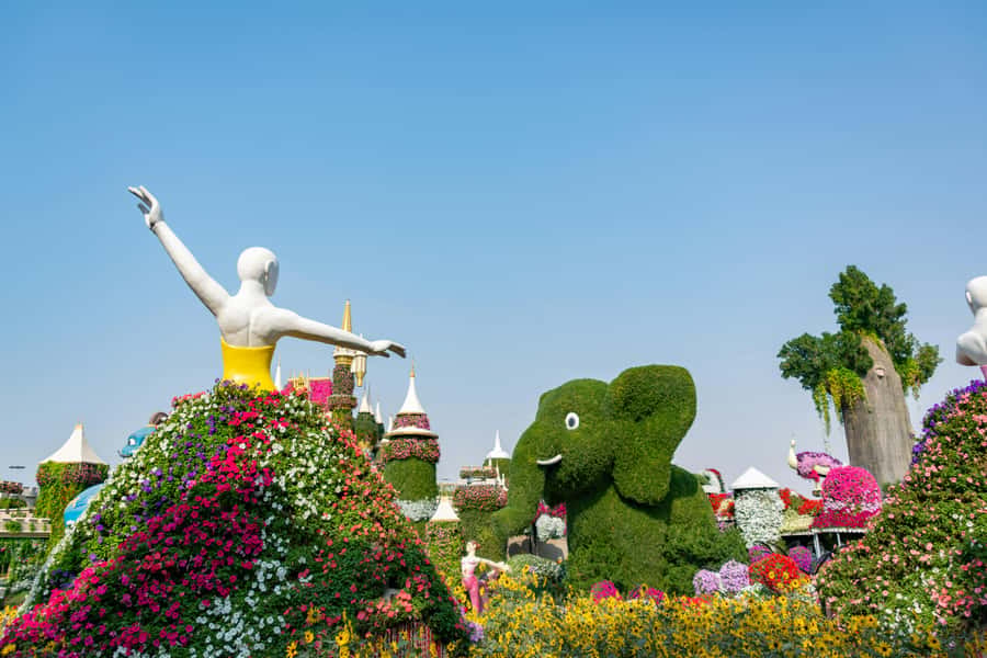 Private Dubai Frame & Miracle Garden Trip with Transfer - Is $105 per person fair value?