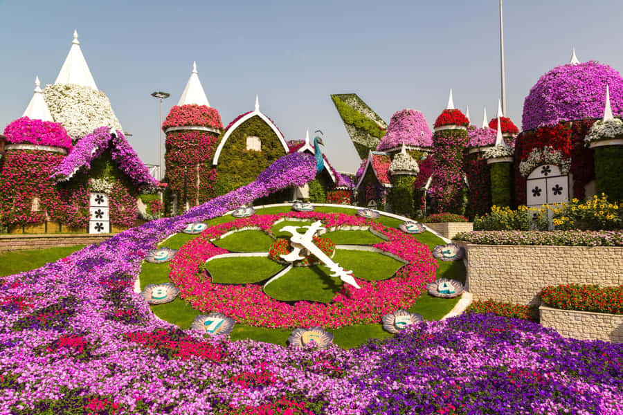 Private Dubai Frame & Miracle Garden Trip with Transfer - Starting with Dubai Frame’s old and new city view