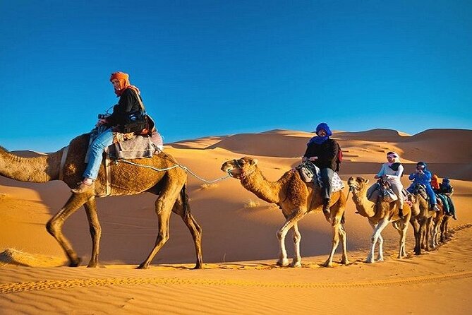 Private Evening Desert Safari with BBQ Dinner Dubai - The camp welcome, camel ride, and cultural activities