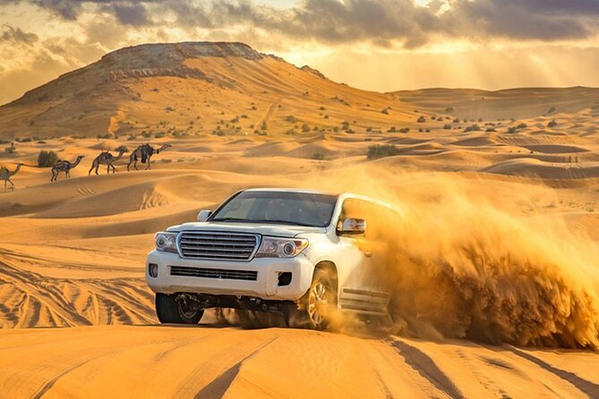 Private Evening Desert Safari with BBQ Dinner Dubai - Who will enjoy this six-hour desert evening