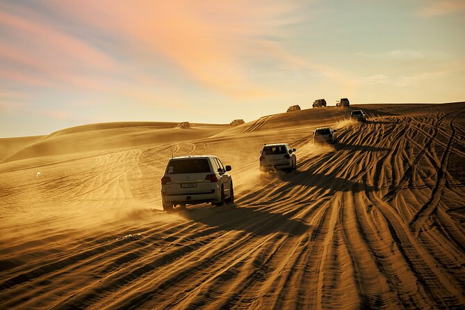 Private Full Day Desert Safari - Key points to know before you book