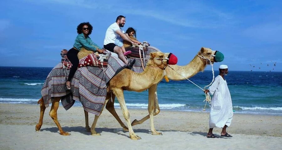 Private Full-Day Desert Tour - Reaching Khor Al Adeid and the Inland Sea