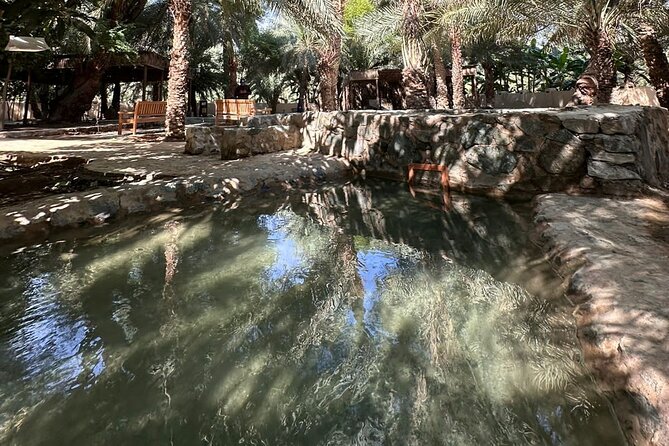 Private Full Day Hatta Visit Dam Heritage Village Lake - Wadi Hatta Park: choose your level of adventure