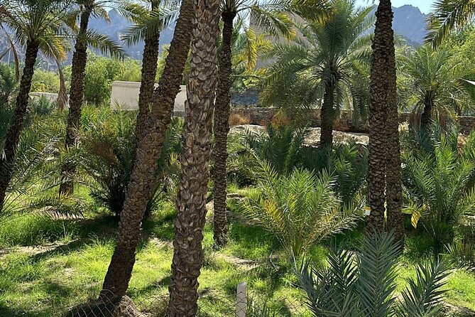 Private Full Day Hatta Visit Dam Heritage Village Lake - A final Hajar Mountain photo stop