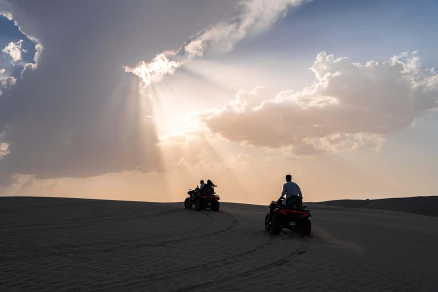 Private Half-Day Desert Safari Tour+Camel Ride - Camp, beach access, and optional extras