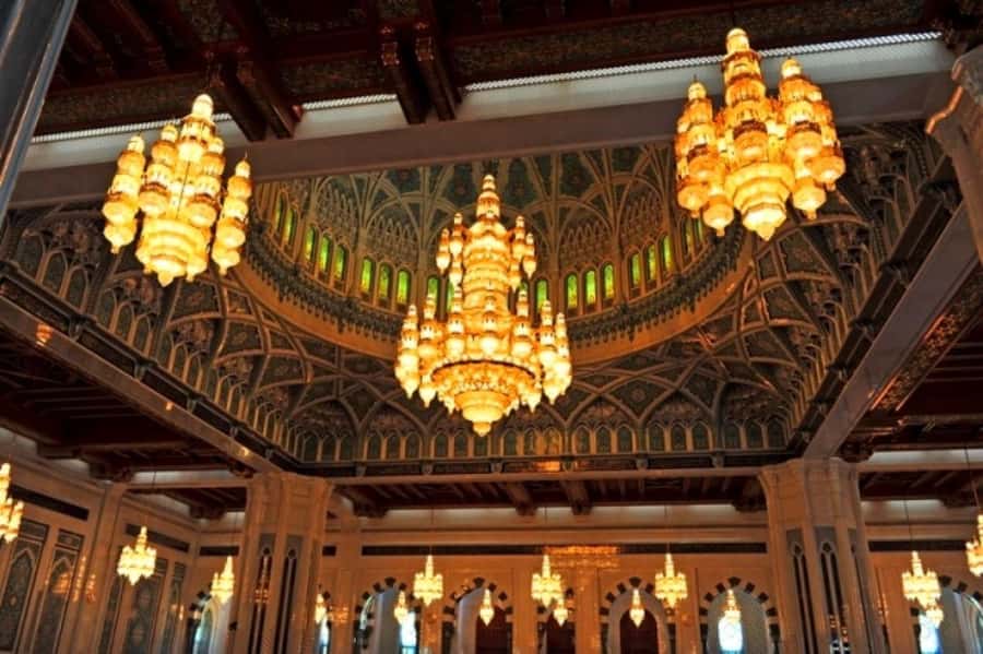 Private Half-Day Muscat City Tour - Who should choose this Muscat tour?