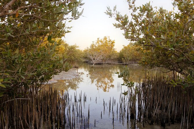 Private North of Qatar: Zubara Fort | Jumail Village | Al-Thakhira Mangroves - Is $60 per person good value?