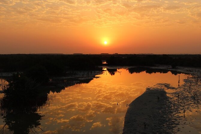 Private North of Qatar: Zubara Fort | Jumail Village | Al-Thakhira Mangroves - Al Thakhira’s mangroves in a 15-minute visit