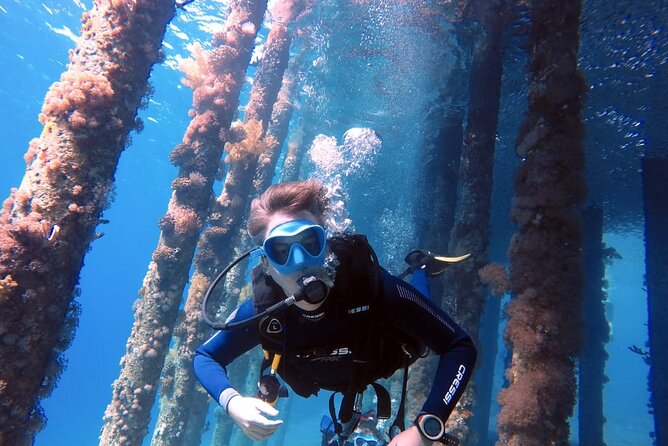 Private Scuba Diving Adventure in the Red Sea of Aqaba - Key details before you book