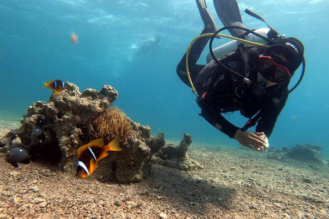 Private Scuba Diving Adventure in the Red Sea of Aqaba - Private format and comfort underwater