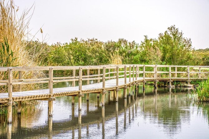 Private Tour of Desert Castles Eastern Jordan with optional Azraq Wetland Visit - Three castles across Jordan’s eastern desert