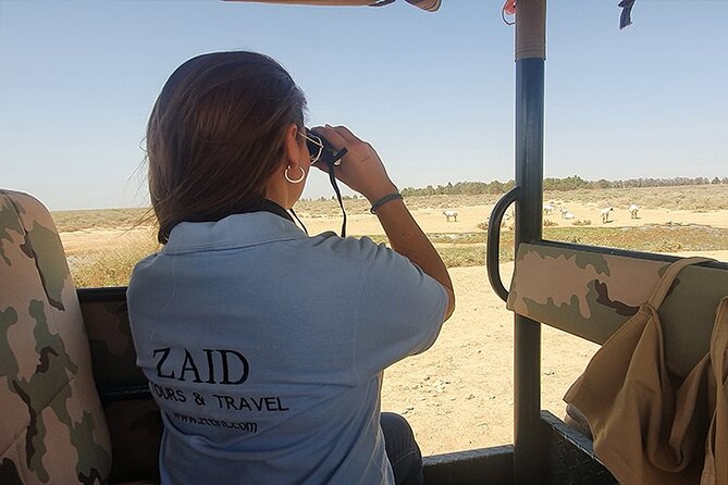 Private Tour of Desert Castles Eastern Jordan with optional Azraq Wetland Visit - The drive from Amman to Qusayr Amra