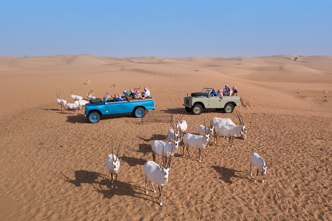 Private Vintage Land Rover Heritage Desert Safari- 4 Course Dinner & Activities - Who should book this safari?