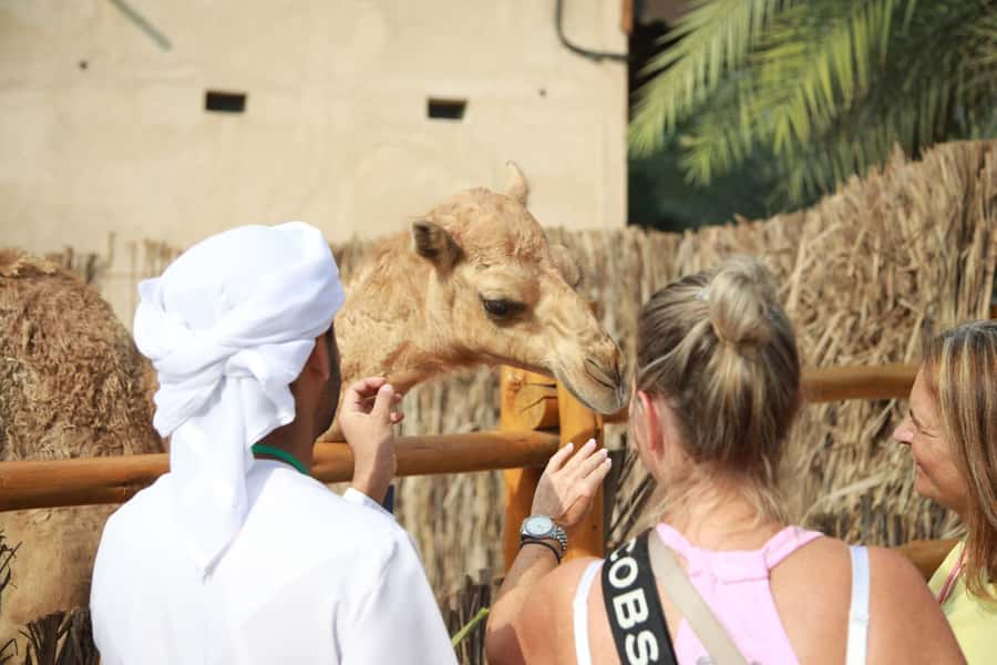 Private Walking Tour in Dubai / Old Dubai Tour - Meeting at Sharaf DG and entering Al Fahidi