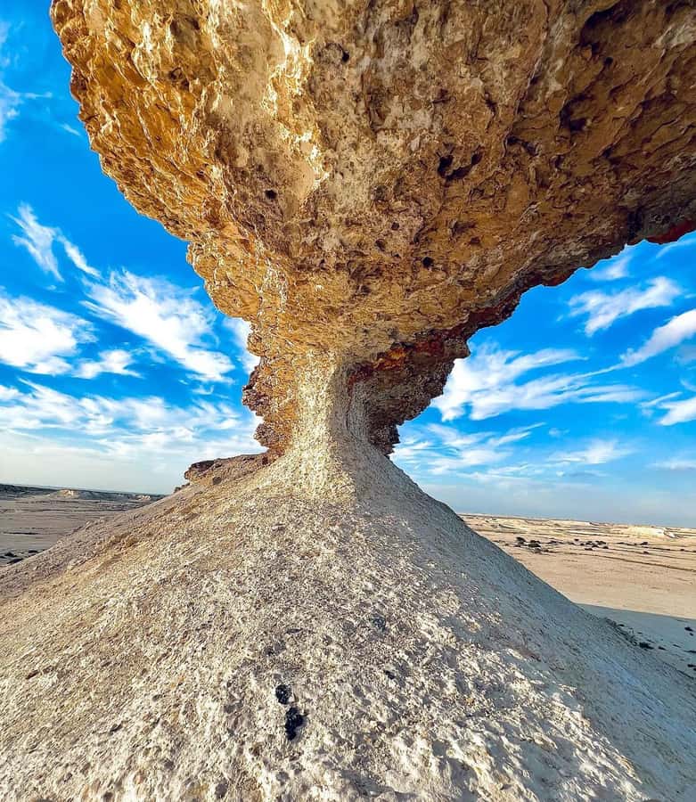 Qatar: Combo Tour of the North and West with Pickup - Al Zubara Fort and Qatar’s UNESCO site