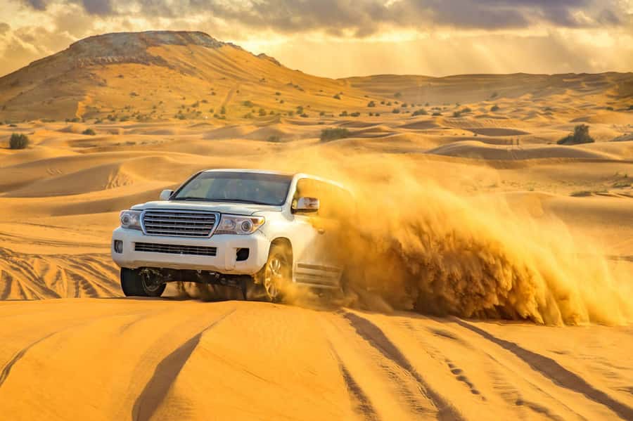 Qatar: Desert Safari, Camel Ride, Inland sea, Sandboarding - Why this desert outing works so well from Doha