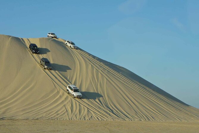 Qatar Desert Safari, Dune Bashing (Private Safari Tour) - From Doha to the dunes near Mesaieed