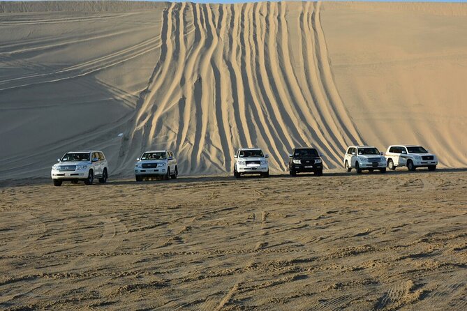Qatar Desert Safari, Dune Bashing (Private Safari Tour) - What $90 gets you