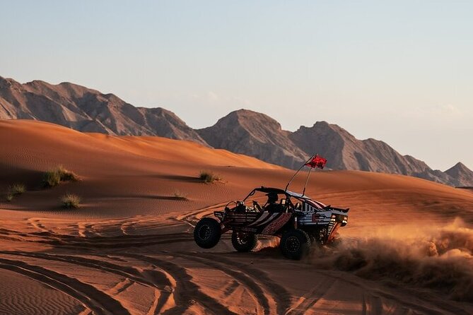 Qatar Desert Thrills Self Ride Dune Buggy Safari and Camel Ride - The camel ride is a quick traditional touch