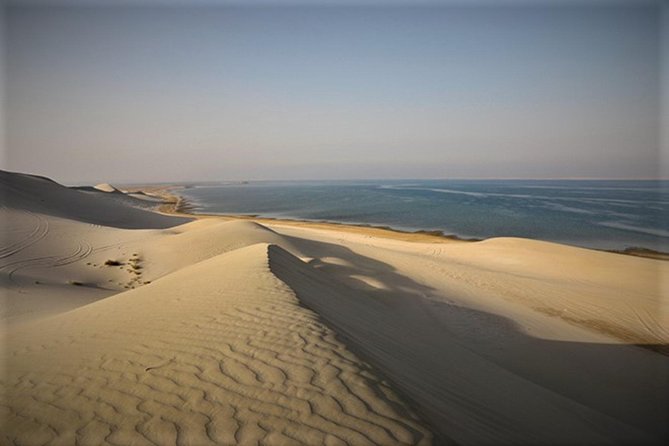 Qatar Gold Dune Safari, Dune Bashing,Camel Ride,Sand Boarding,Inland Sea Desert - Guides, communication, and the human side of the trip